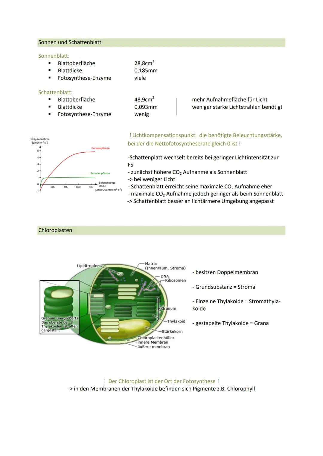 Bedeutung:
■
■
■
Chlorophyll (grüner Farbstoff der Pflanzen) spielt eine zentrale Rolle bei der Fotosynthese
O kann Licht absorbieren, wodur