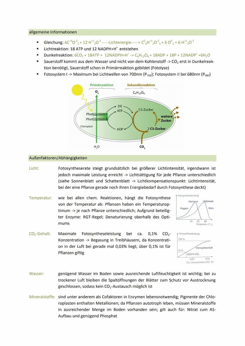 Bedeutung:
■
■
■
Chlorophyll (grüner Farbstoff der Pflanzen) spielt eine zentrale Rolle bei der Fotosynthese
O kann Licht absorbieren, wodur