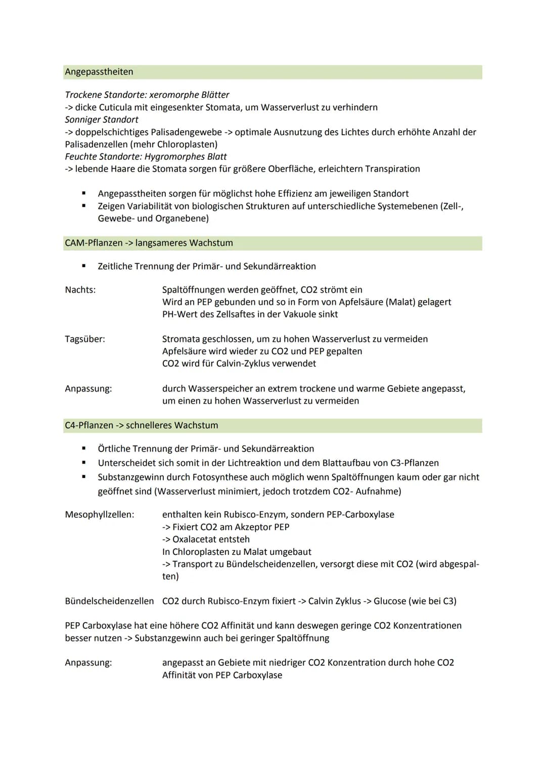 Bedeutung:
■
■
■
Chlorophyll (grüner Farbstoff der Pflanzen) spielt eine zentrale Rolle bei der Fotosynthese
O kann Licht absorbieren, wodur