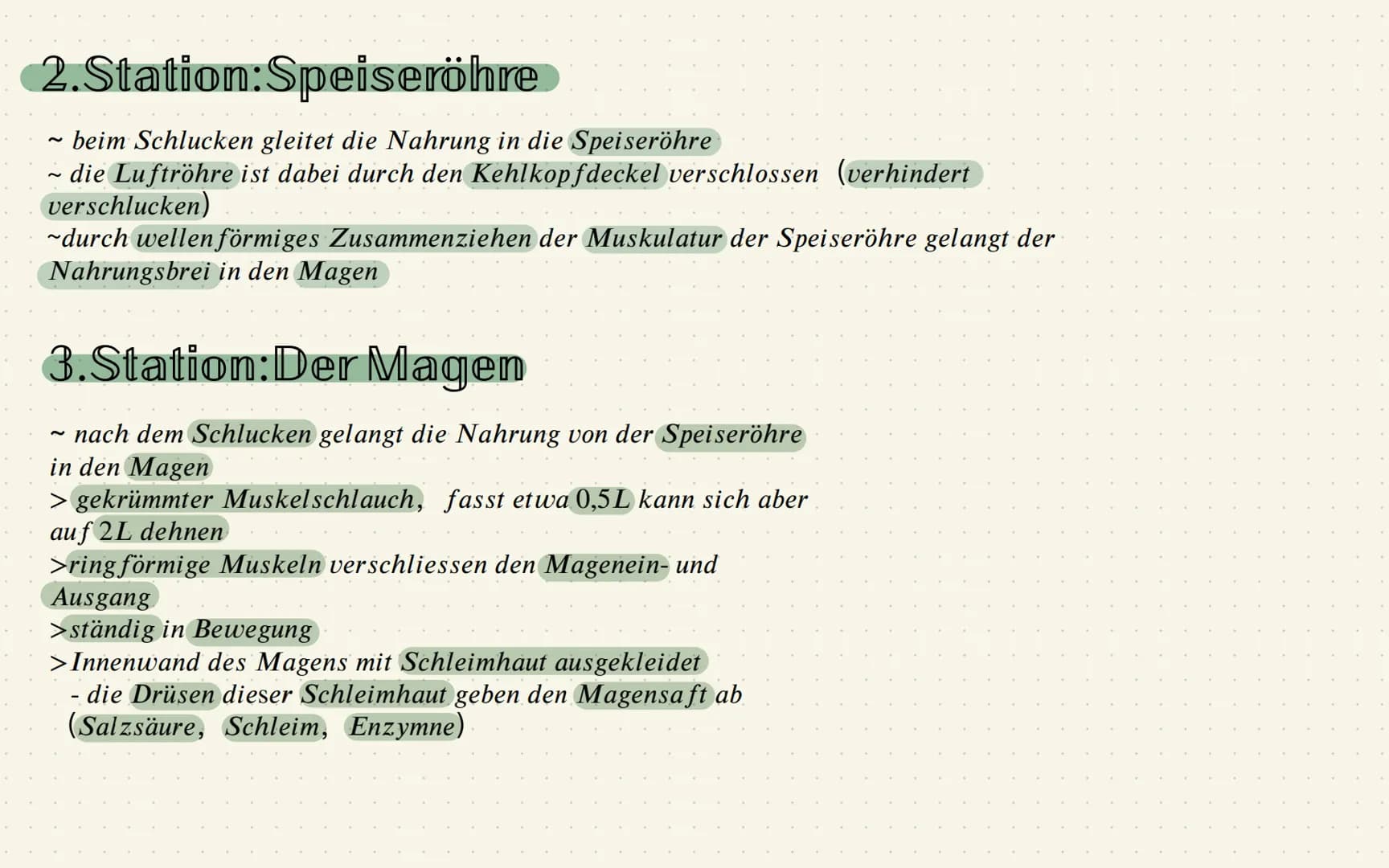 Das Verdauungssystem
1.Station: Mund
~zerkleinern dr grossen Nahrungsstücke = durch Kauen und
mithilfe von Enzymen, die im Speichel sind
Mer