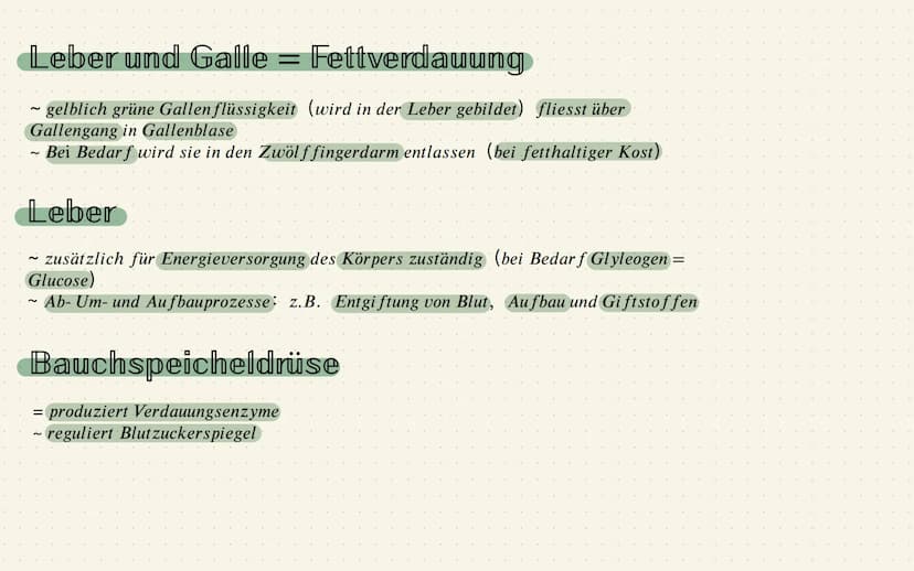 Das Verdauungssystem
1.Station: Mund
~zerkleinern dr grossen Nahrungsstücke = durch Kauen und
mithilfe von Enzymen, die im Speichel sind
Mer