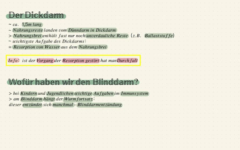 Das Verdauungssystem
1.Station: Mund
~zerkleinern dr grossen Nahrungsstücke = durch Kauen und
mithilfe von Enzymen, die im Speichel sind
Mer