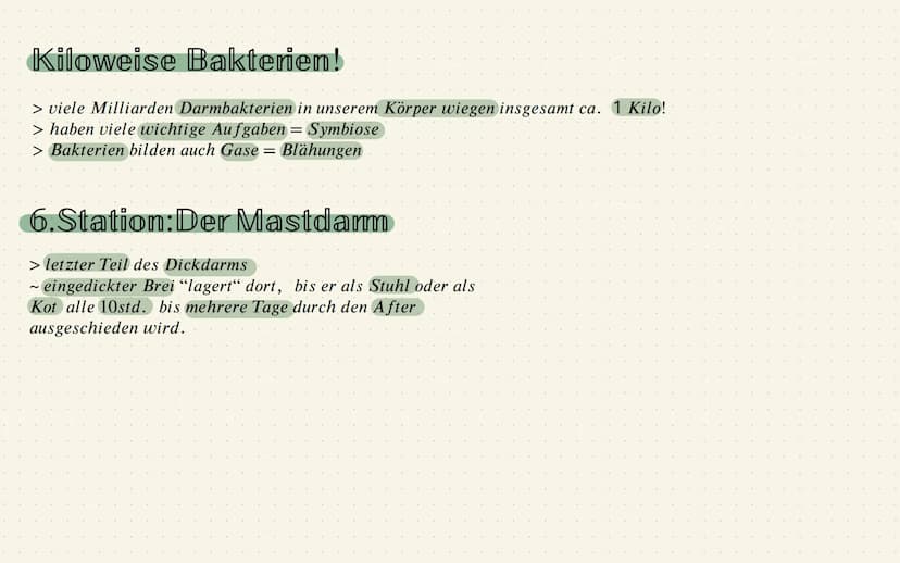 Das Verdauungssystem
1.Station: Mund
~zerkleinern dr grossen Nahrungsstücke = durch Kauen und
mithilfe von Enzymen, die im Speichel sind
Mer