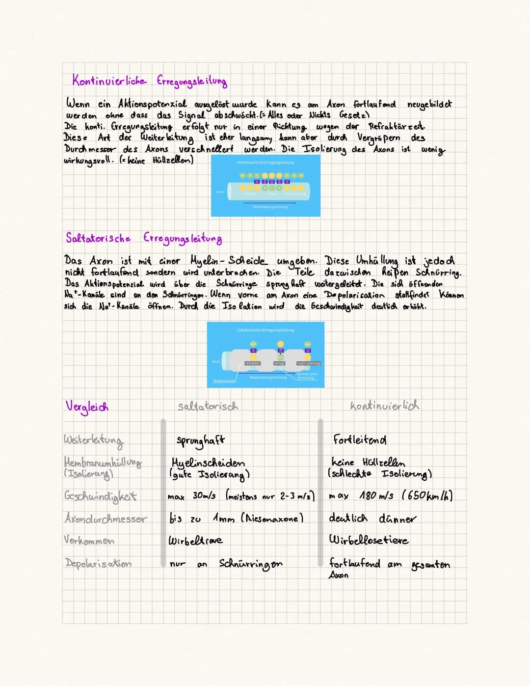 biologie Kursa rbeit
Fachbegriffe:
Reie physiologie Teilgebiet der Biologie, beschäftigt sich mit der Funktionsweise
des Nervensystems von T