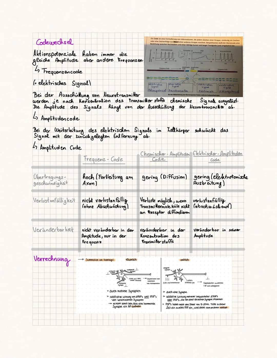 biologie Kursa rbeit
Fachbegriffe:
Reie physiologie Teilgebiet der Biologie, beschäftigt sich mit der Funktionsweise
des Nervensystems von T