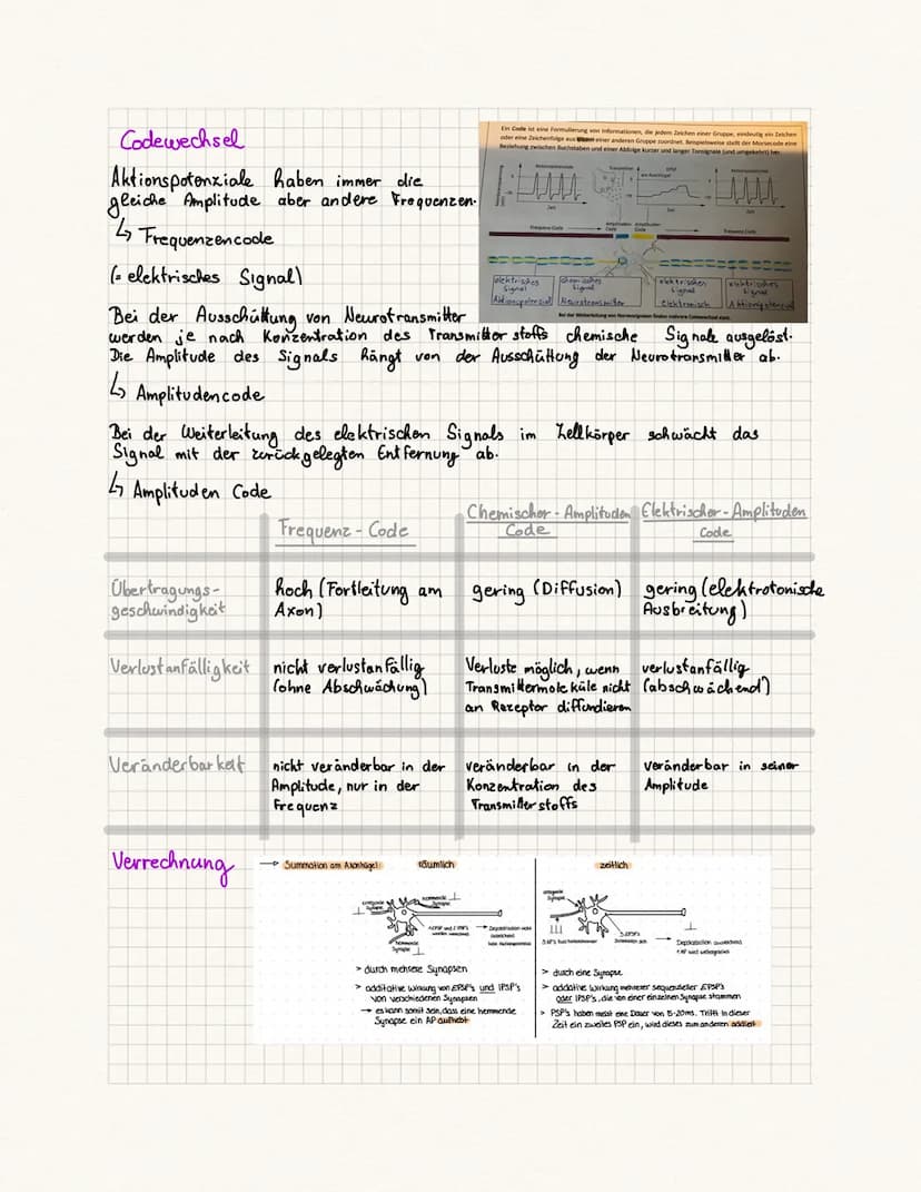 biologie Kursa rbeit
Fachbegriffe:
Reie physiologie Teilgebiet der Biologie, beschäftigt sich mit der Funktionsweise
des Nervensystems von T