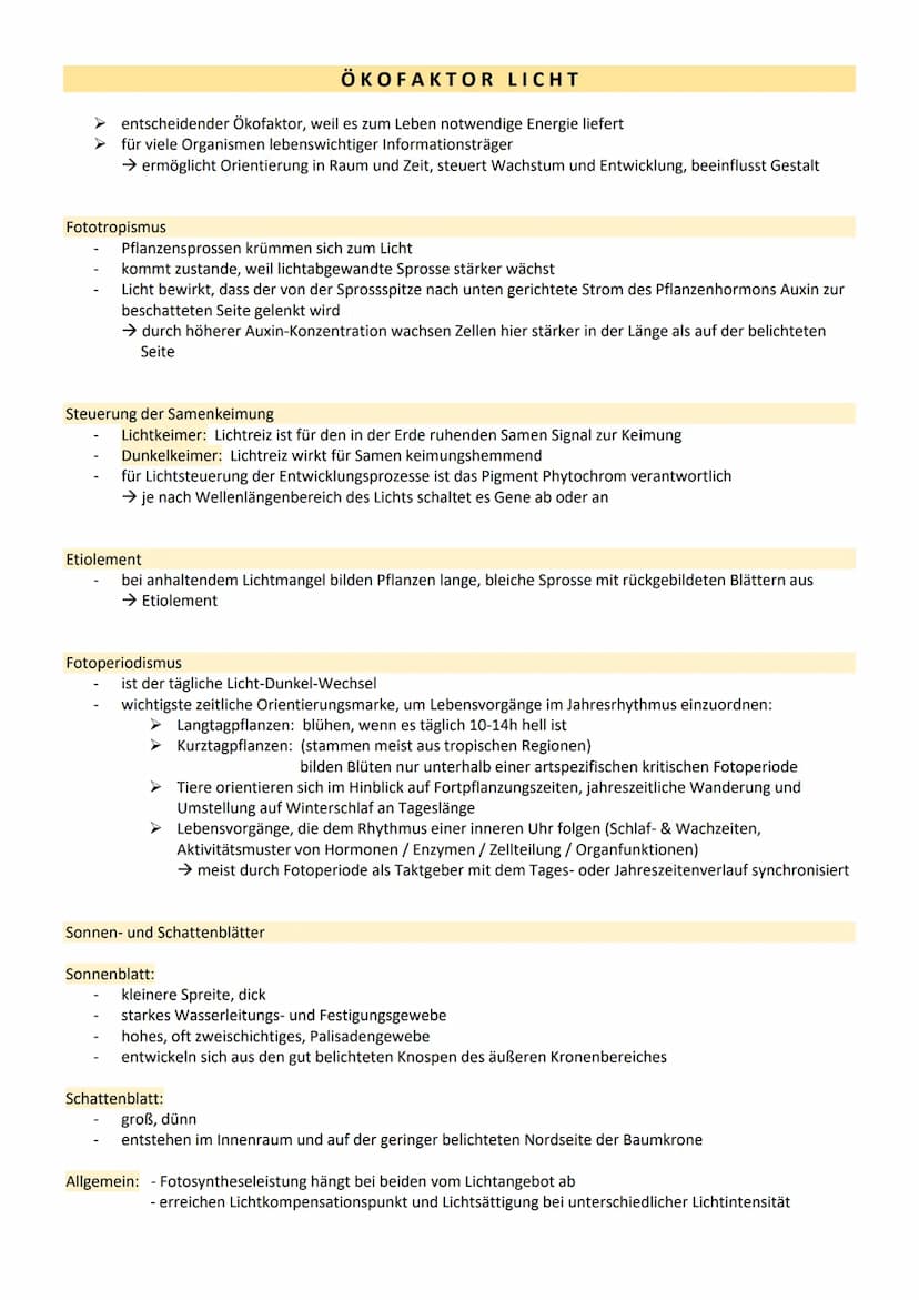 ÖKOLOGIE
DEFINITIONEN
Ökologie: die Lehre vom Haushalt der Natur und Wissenschaft, die sich mit den Wechselbeziehungen zwischen
Lebewesen un