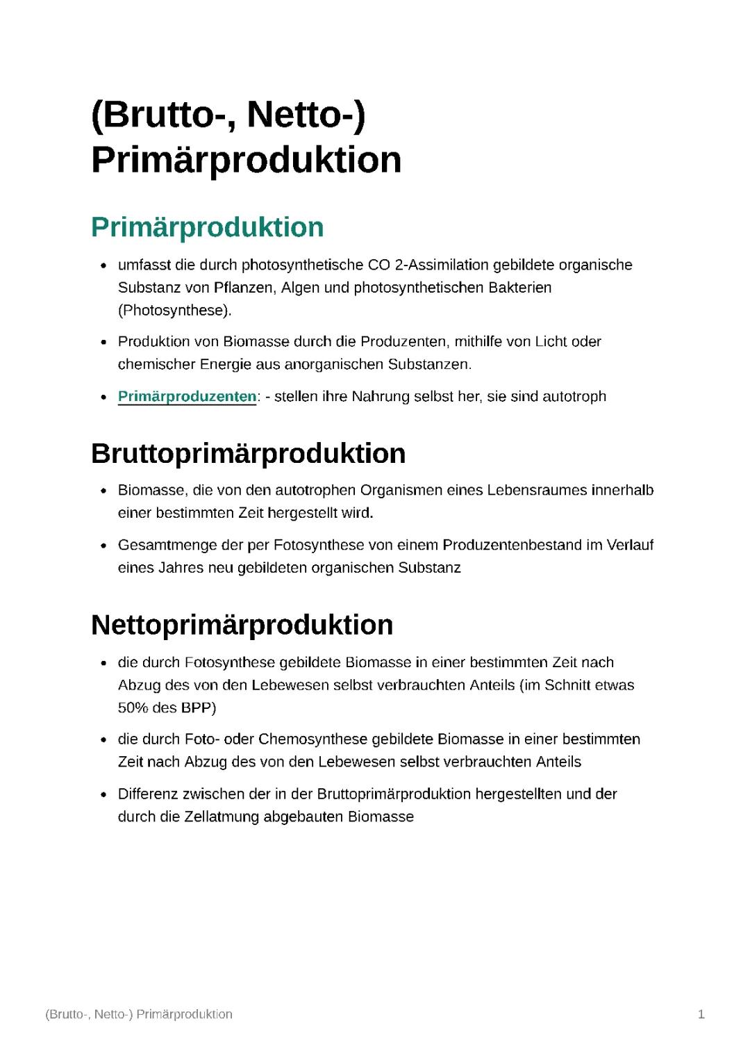 Bruttoprimärproduktion und Nettoprimärproduktion einfach erklärt mit Beispielen für Kinder