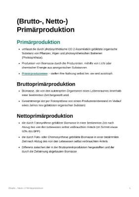 Know (Brutto-, Netto-) Primärproduktion thumbnail