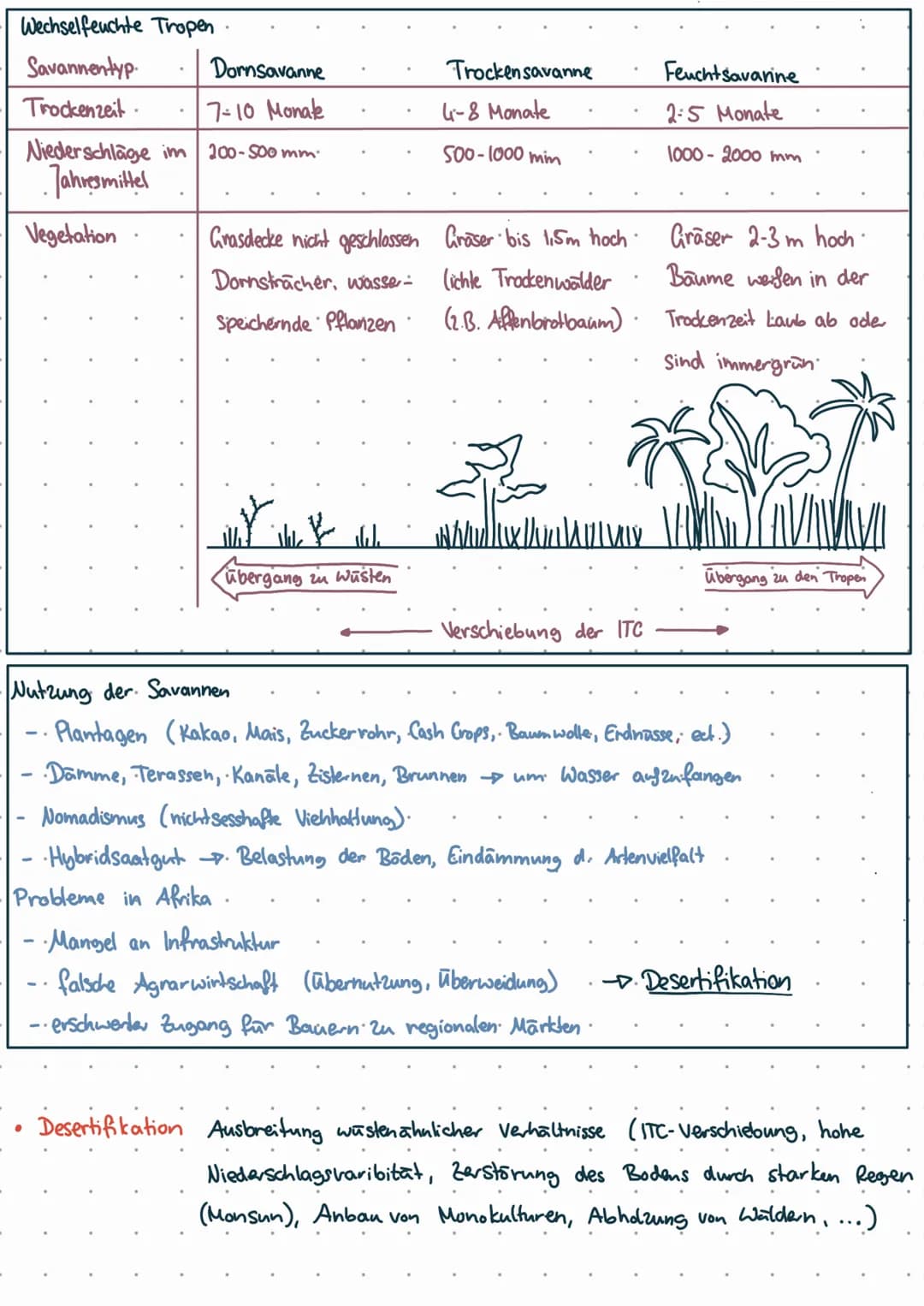 Geozonen & Agrargeographie
Tropen: Immerfeuchte Tropen
●
●
(Desertifikation)
Wüsten und Halbwüsten
↳ Nutzung der Wüsten
Subtropen/trockene M