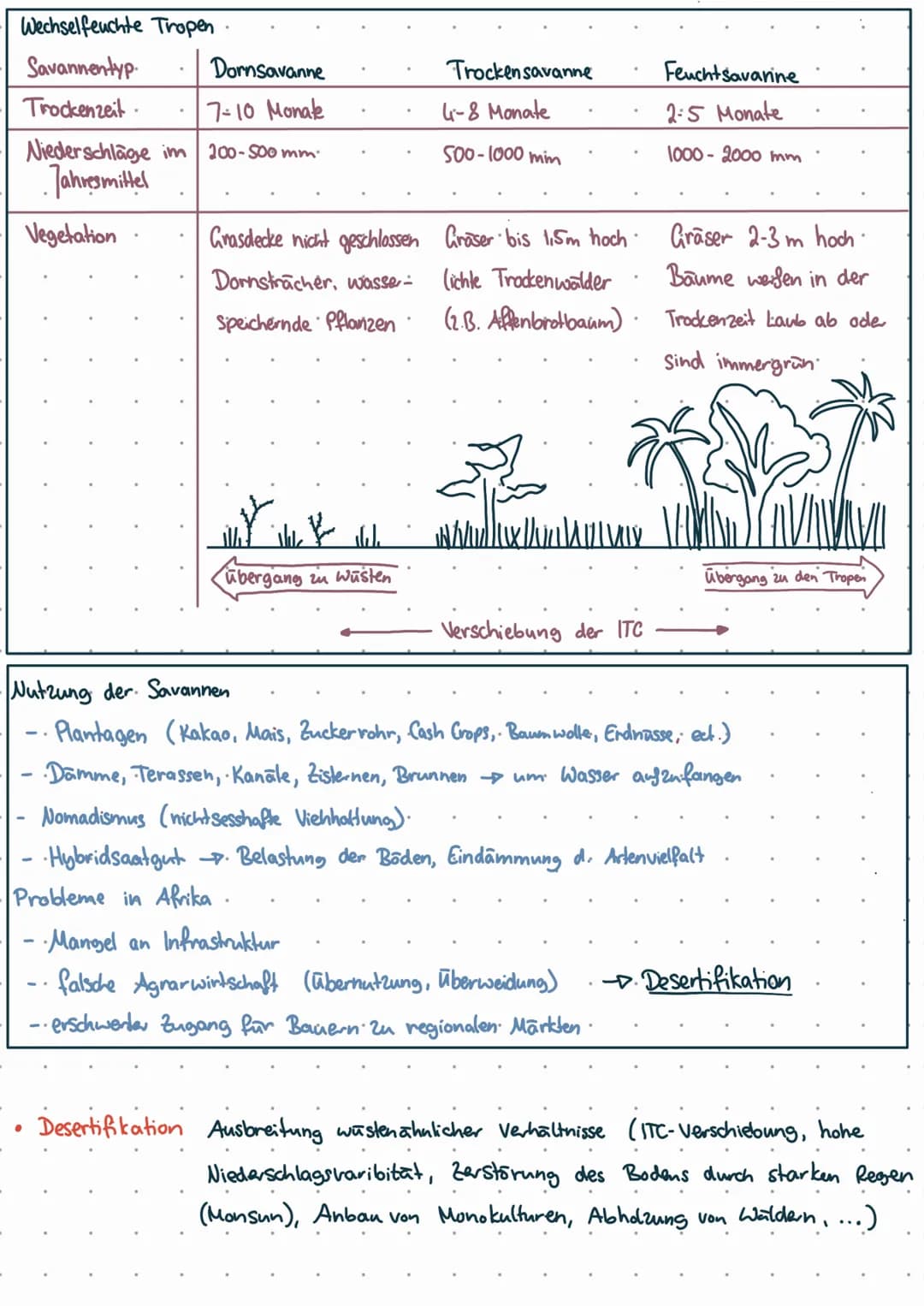 Geozonen & Agrargeographie
Tropen: Immerfeuchte Tropen
●
●
(Desertifikation)
Wüsten und Halbwüsten
↳ Nutzung der Wüsten
Subtropen/trockene M