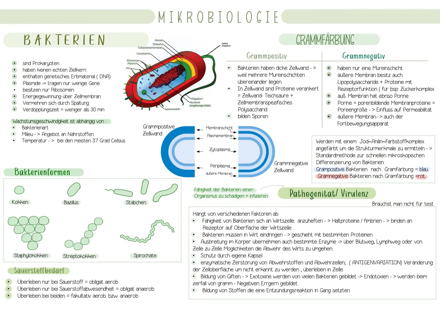 Immunologie UNSPEZIFISCHE
1. VERTEIDIGUNGSLINIE
AUBERE SCHUTZBARRIEREN
Wimpern
Lysozym in
Tränenflüssigkeit
und Speichel
Hustenreflex
Flimme