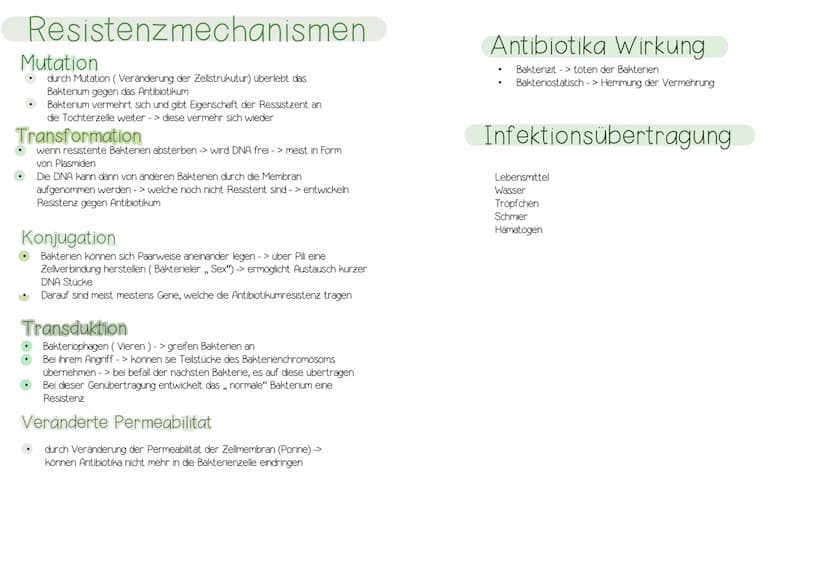 Immunologie UNSPEZIFISCHE
1. VERTEIDIGUNGSLINIE
AUBERE SCHUTZBARRIEREN
Wimpern
Lysozym in
Tränenflüssigkeit
und Speichel
Hustenreflex
Flimme