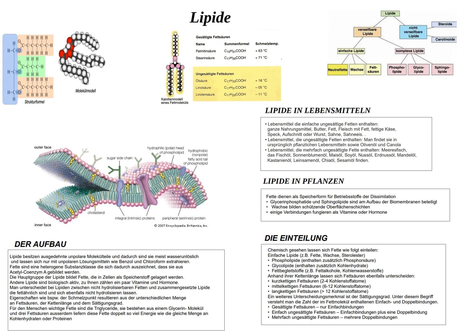 
<h2 id="lipidestrukturformel">Lipide Strukturformel</h2>
<p>Die Strukturformel von Lipiden zeigt ihre ausgedehnten unpolaren Molekülteile. 