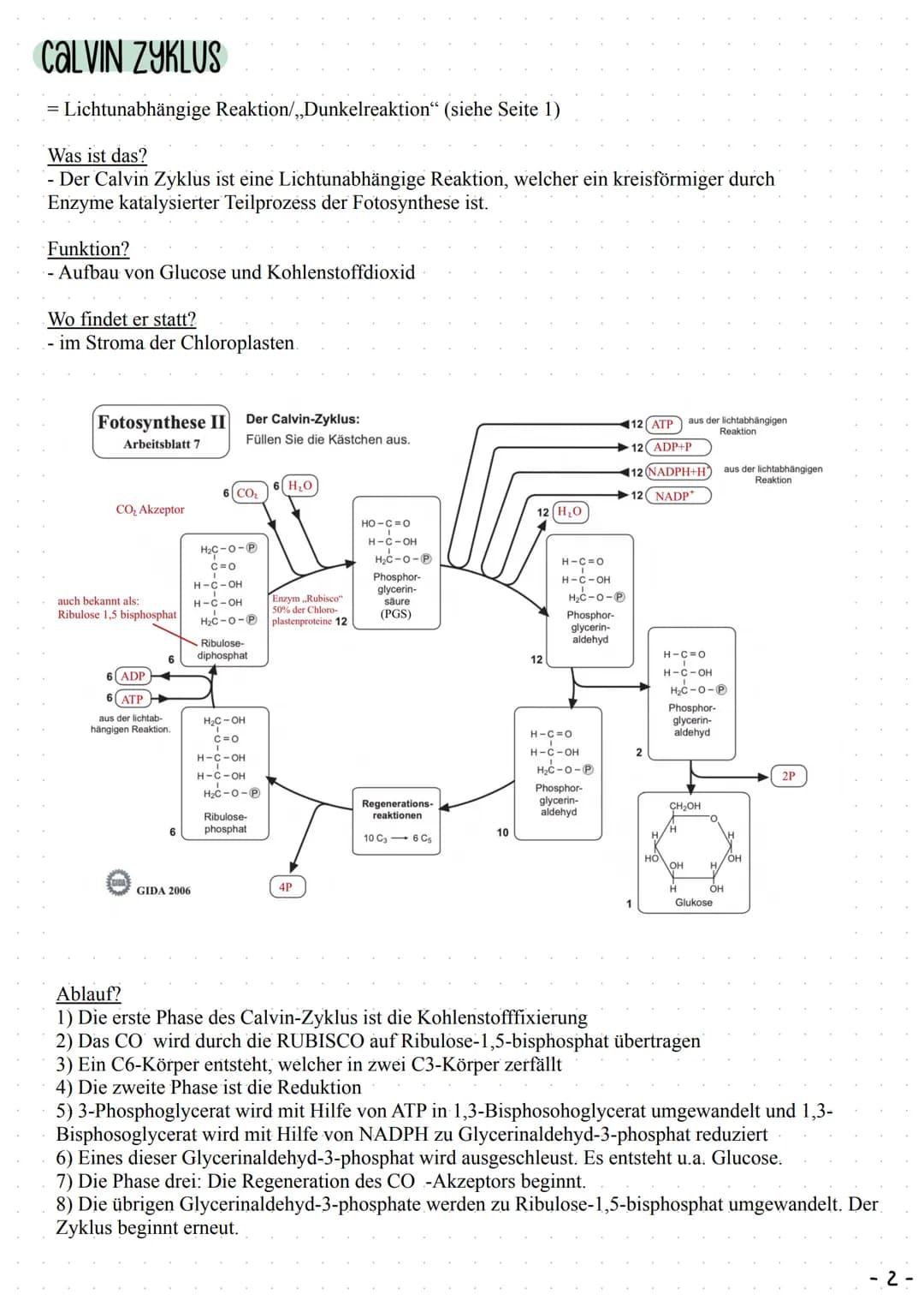 Fotosynthese
WO FINDET DIE FOTOSYNTHESE Bel PFLANZEN STATT?
Stroma
Stärke Thylakoide
Granastapel
LICHTABHaNgige ReaKTION
Wo findet sie statt
