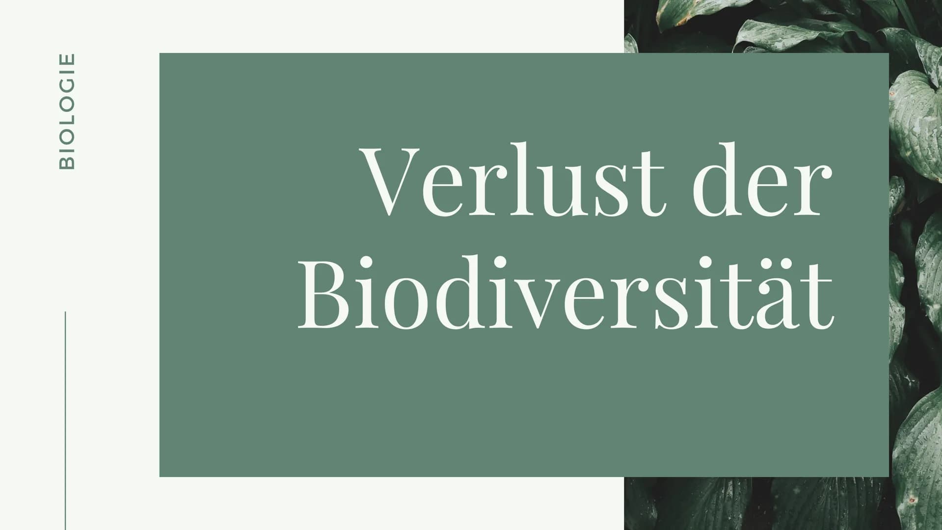 BIOLOGIE
Verlust der
Biodiversität Inhalt
• Was heißt Biodiversität?
● Ebenen von Biodiversität
• Warum ist Artenvielfalt wichtig?
• Ursache