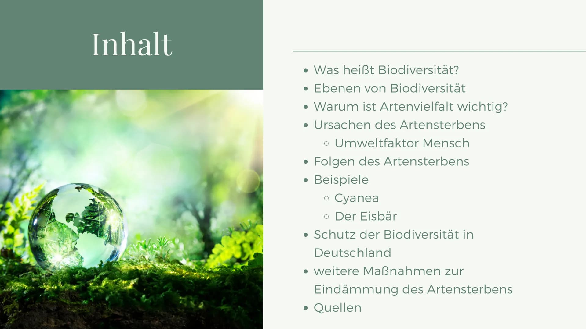 BIOLOGIE
Verlust der
Biodiversität Inhalt
• Was heißt Biodiversität?
● Ebenen von Biodiversität
• Warum ist Artenvielfalt wichtig?
• Ursache