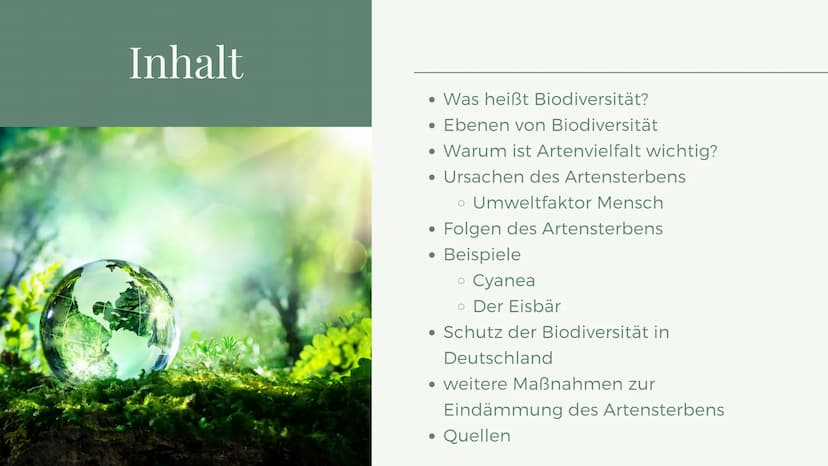 BIOLOGIE
Verlust der
Biodiversität Inhalt
• Was heißt Biodiversität?
● Ebenen von Biodiversität
• Warum ist Artenvielfalt wichtig?
• Ursache