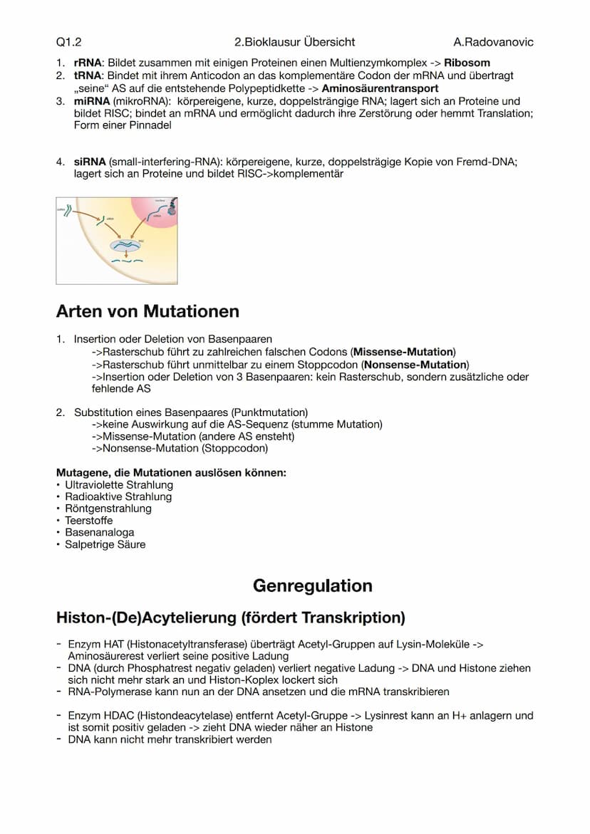 Q1.2
Fachbegriffe
Begriff
Genom
Epigenom
Proteom
Metabolom
Phänom
Genotyp
Phänotyp
Mutation
Modifikation
Coding-DNA
Non-coding-DNA
,,Klassis