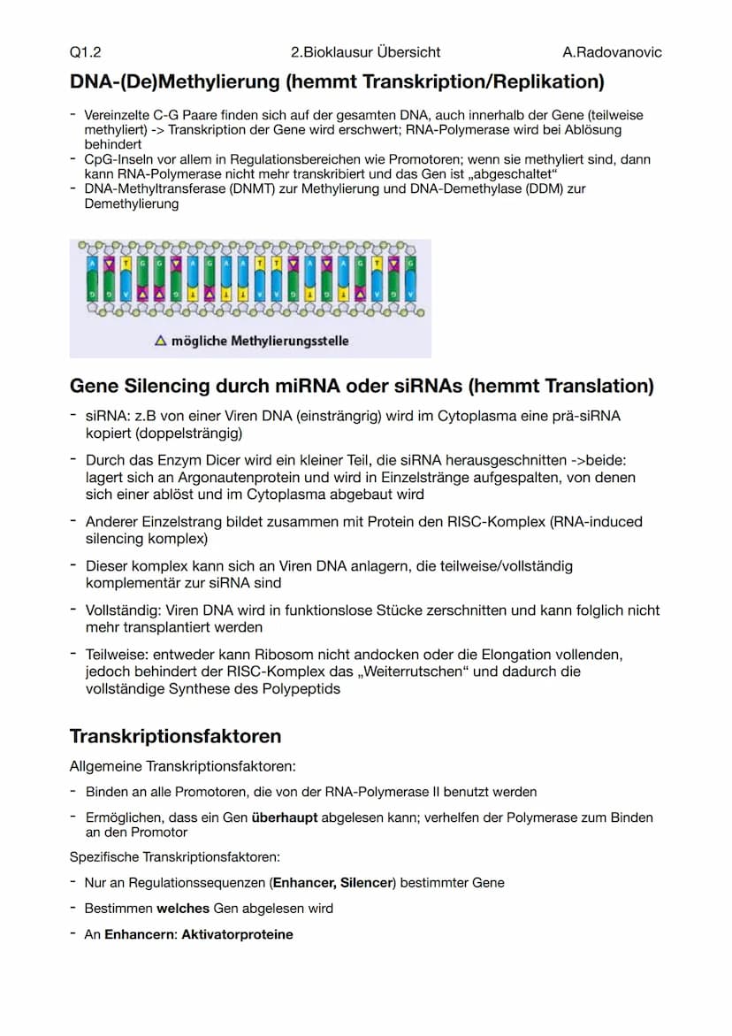 Q1.2
Fachbegriffe
Begriff
Genom
Epigenom
Proteom
Metabolom
Phänom
Genotyp
Phänotyp
Mutation
Modifikation
Coding-DNA
Non-coding-DNA
,,Klassis
