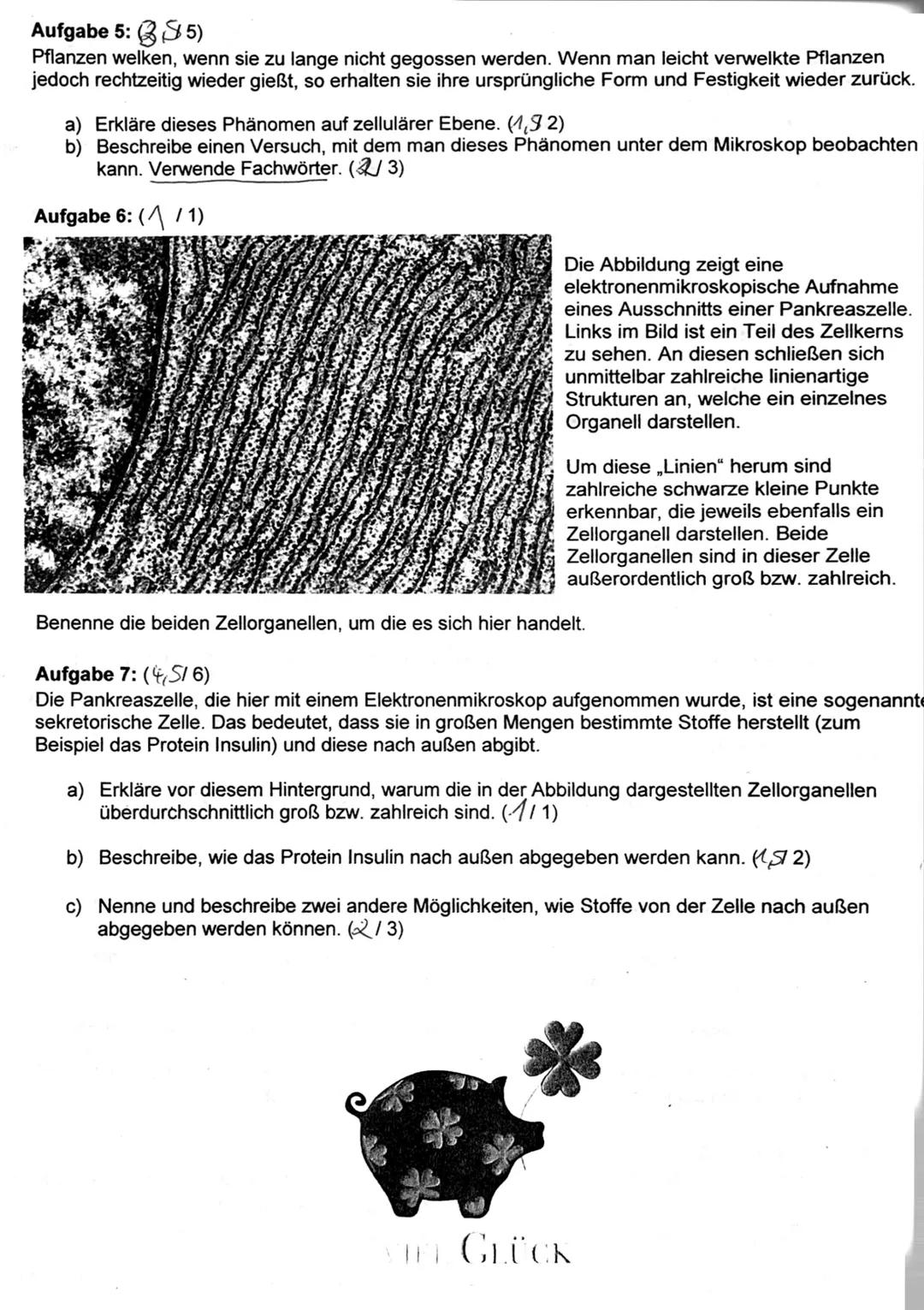Punkte:
130
Note:
04.12.19
Klausur Biologie
Name:
Sophia Stahle
Zeit:
90 min
23,5
Aufgabe 1: (2,5/3)
Vergleiche Lichtmikroskop und Transmiss