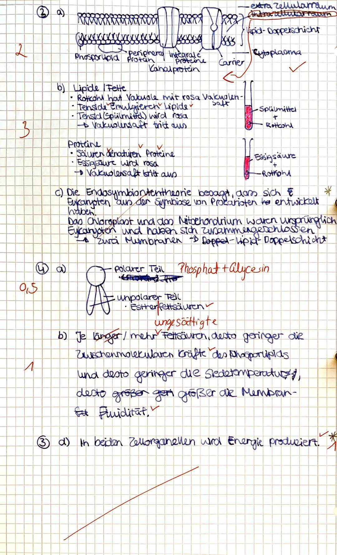 Punkte:
130
Note:
04.12.19
Klausur Biologie
Name:
Sophia Stahle
Zeit:
90 min
23,5
Aufgabe 1: (2,5/3)
Vergleiche Lichtmikroskop und Transmiss