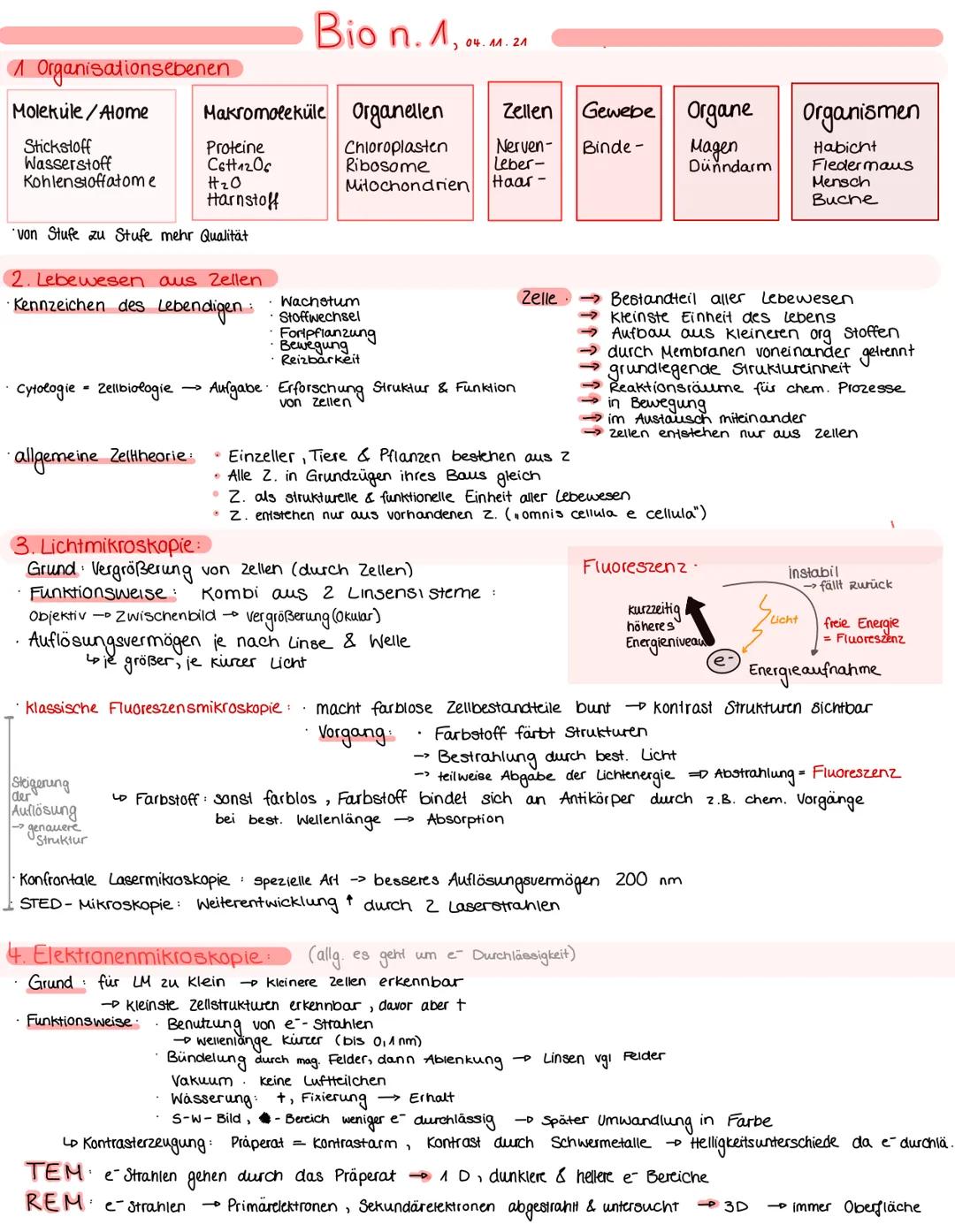 # 1 Organisationsebenen

Molekule/Alome
Stickstoff
Wasserstoff
Kohlenstoffatome

Bio n. 1, 04. M. 24

Makromoleküle Organellen
Proteine
$C_6