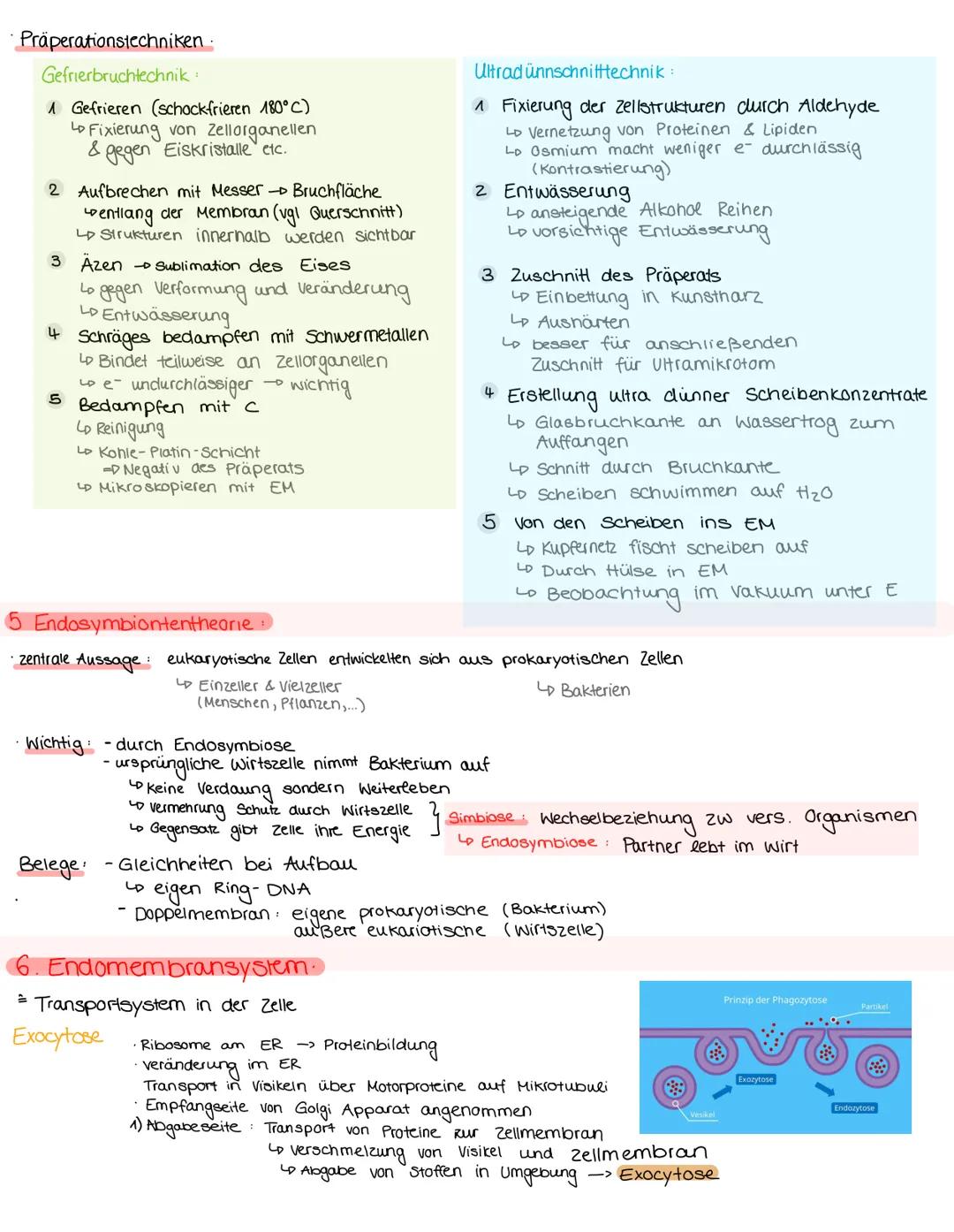 # 1 Organisationsebenen

Molekule/Alome
Stickstoff
Wasserstoff
Kohlenstoffatome

Bio n. 1, 04. M. 24

Makromoleküle Organellen
Proteine
$C_6