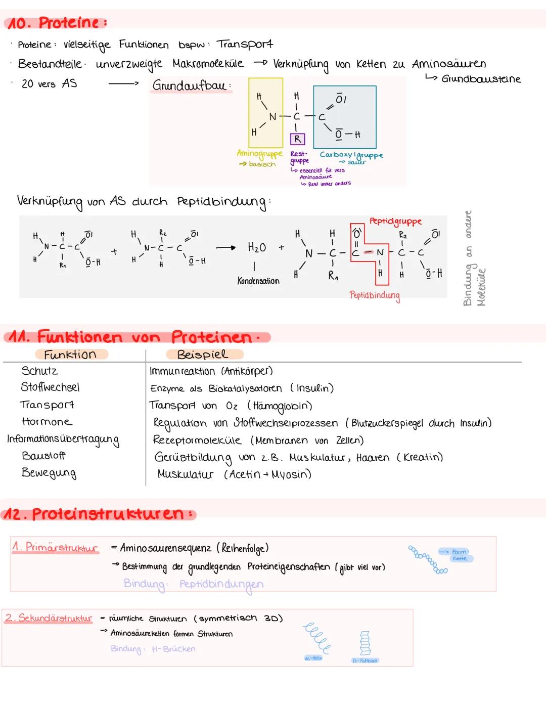 # 1 Organisationsebenen

Molekule/Alome
Stickstoff
Wasserstoff
Kohlenstoffatome

Bio n. 1, 04. M. 24

Makromoleküle Organellen
Proteine
$C_6