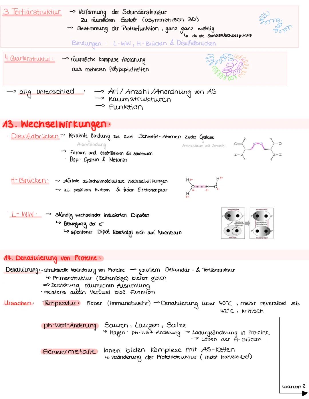 # 1 Organisationsebenen

Molekule/Alome
Stickstoff
Wasserstoff
Kohlenstoffatome

Bio n. 1, 04. M. 24

Makromoleküle Organellen
Proteine
$C_6