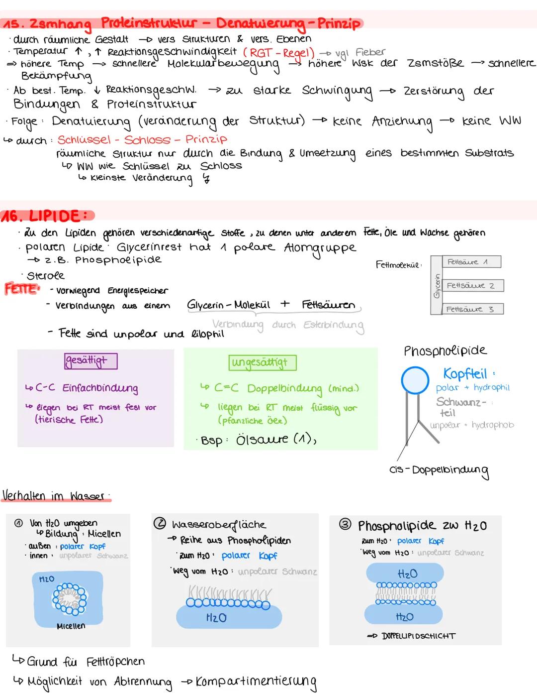 # 1 Organisationsebenen

Molekule/Alome
Stickstoff
Wasserstoff
Kohlenstoffatome

Bio n. 1, 04. M. 24

Makromoleküle Organellen
Proteine
$C_6
