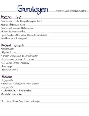 Know Anatomie Grundlagen  thumbnail