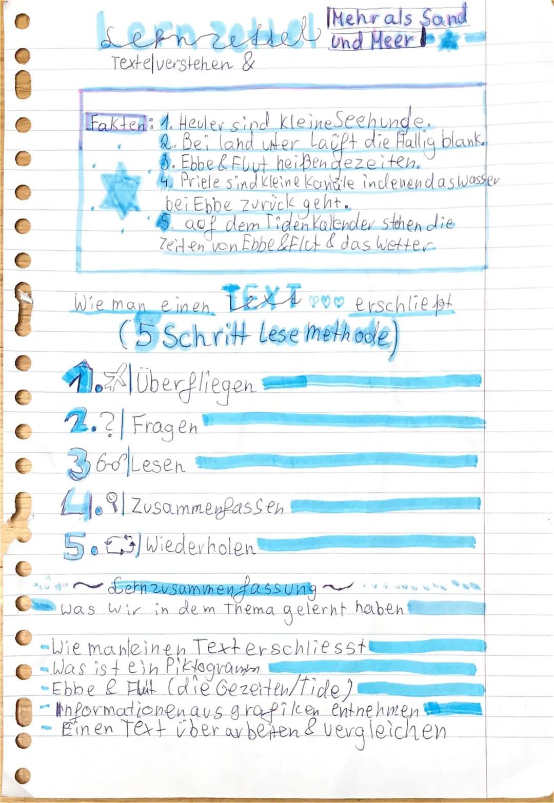 ARAN
Lemzettel Mehr als Sand
und Meer
Textelverstehen &
Fakten: 1. Heuler sind kleine Seehunde.
2. Bei land uter Lauft die Hallig blank.
8. 
