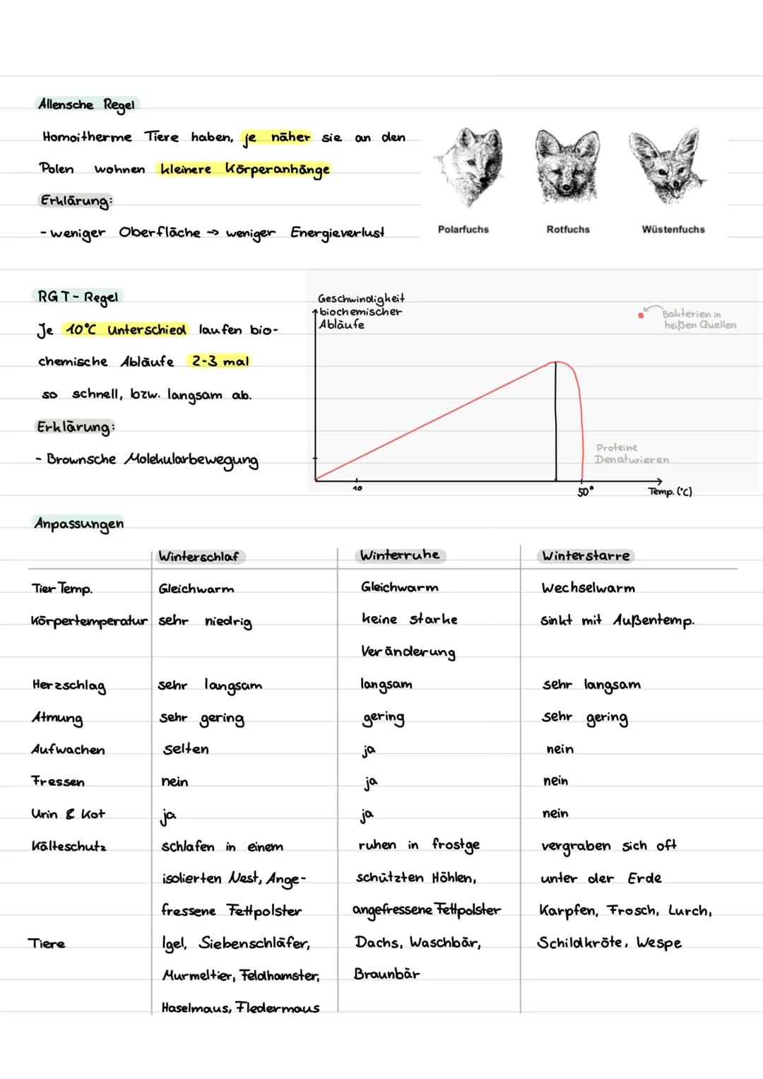 Inhalt
I. Begriffe
II. abiotische Faktoren
1. Toleranzkurven
ste nök / euryok
2. Ökologische und physiologische Potenz
3. Temperatur
Homoiot
