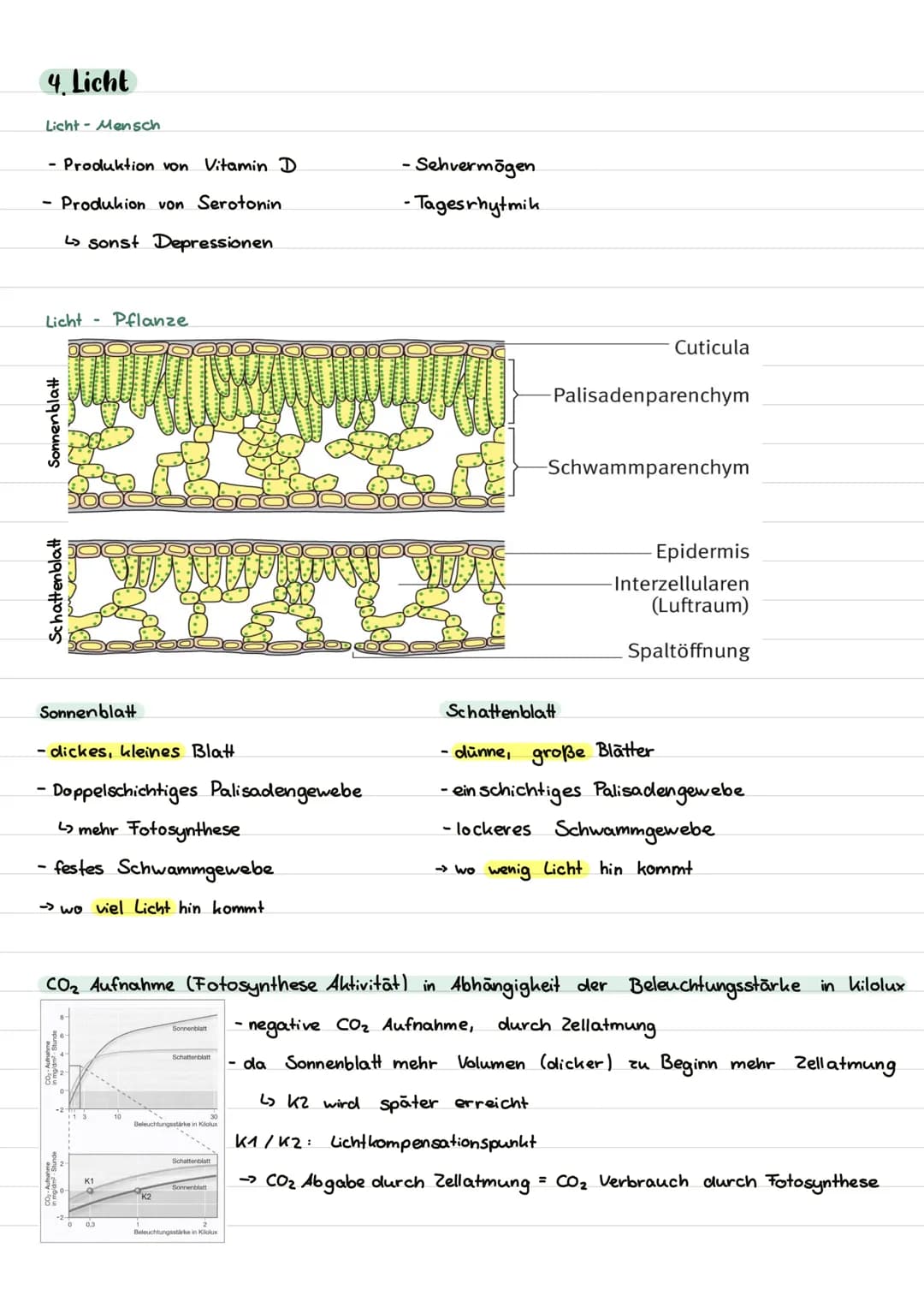 Inhalt
I. Begriffe
II. abiotische Faktoren
1. Toleranzkurven
ste nök / euryok
2. Ökologische und physiologische Potenz
3. Temperatur
Homoiot