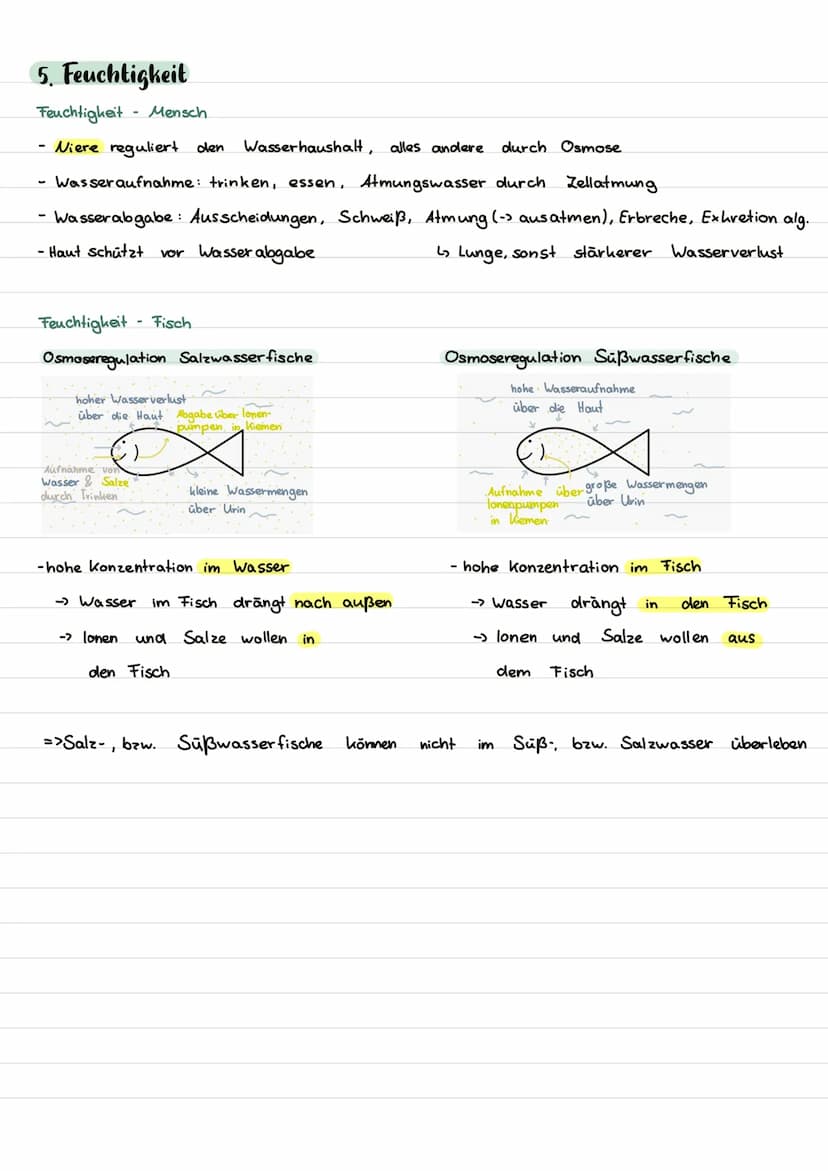 Inhalt
I. Begriffe
II. abiotische Faktoren
1. Toleranzkurven
ste nök / euryok
2. Ökologische und physiologische Potenz
3. Temperatur
Homoiot