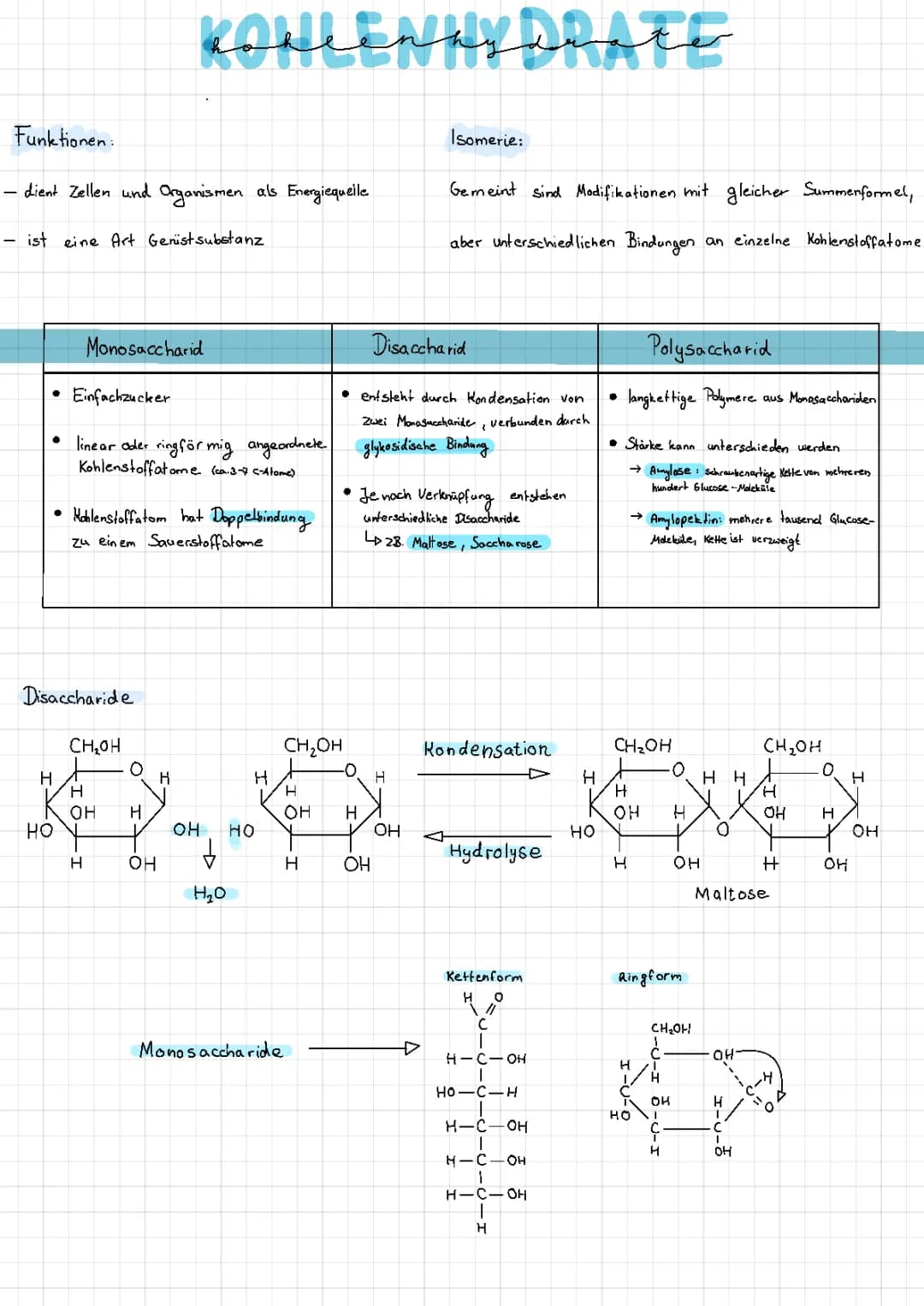 Ernährungseminar