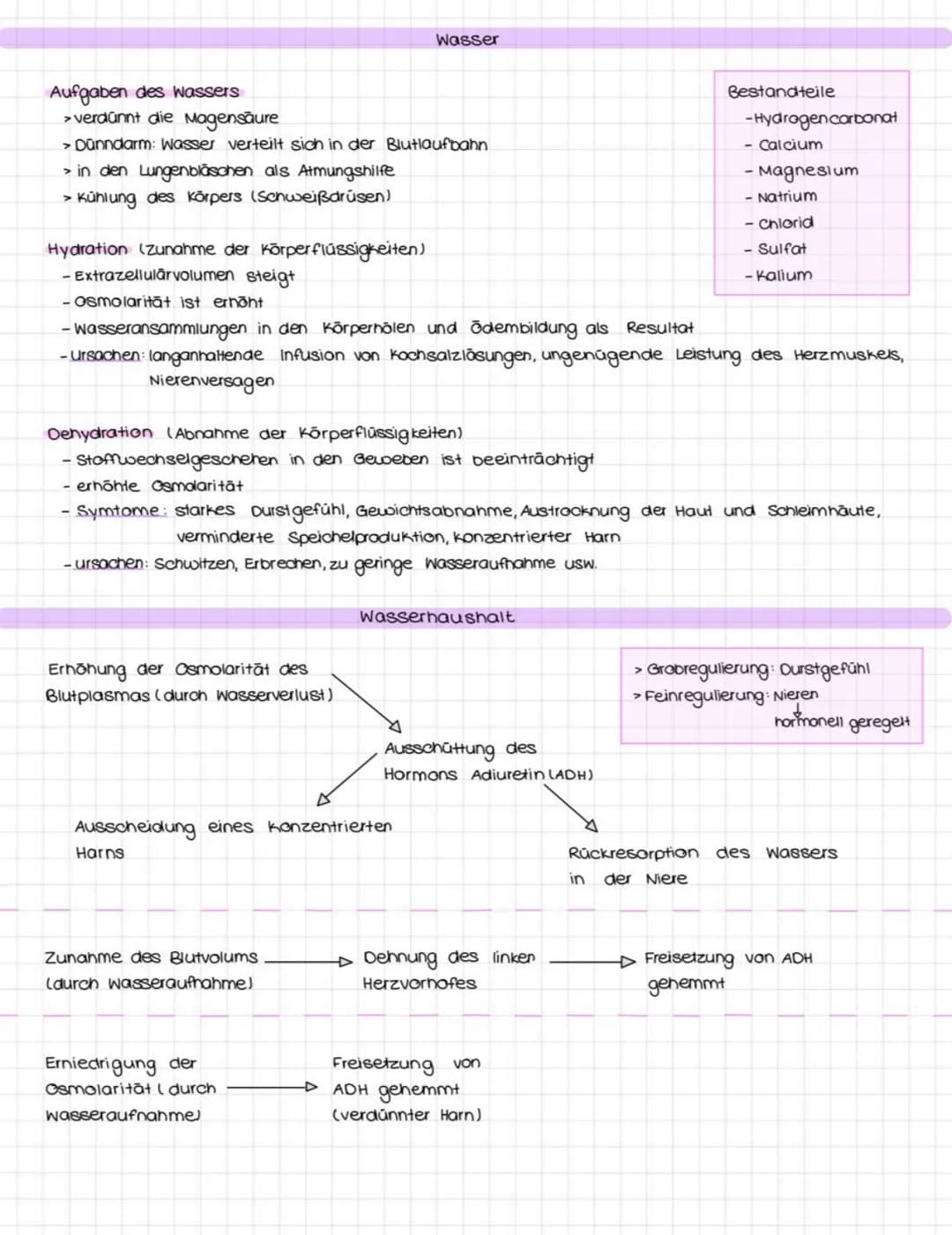 Funktionen:
dient Zellen und Organismen als Energiequelle
- ist eine Art Gerüst substanz
• Einfachzucker
●
H
Monosaccharid
• Hohlenstoffatom