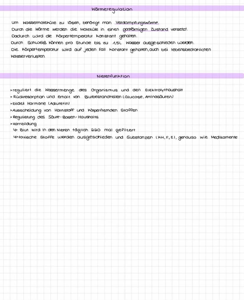 Funktionen:
dient Zellen und Organismen als Energiequelle
- ist eine Art Gerüst substanz
• Einfachzucker
●
H
Monosaccharid
• Hohlenstoffatom
