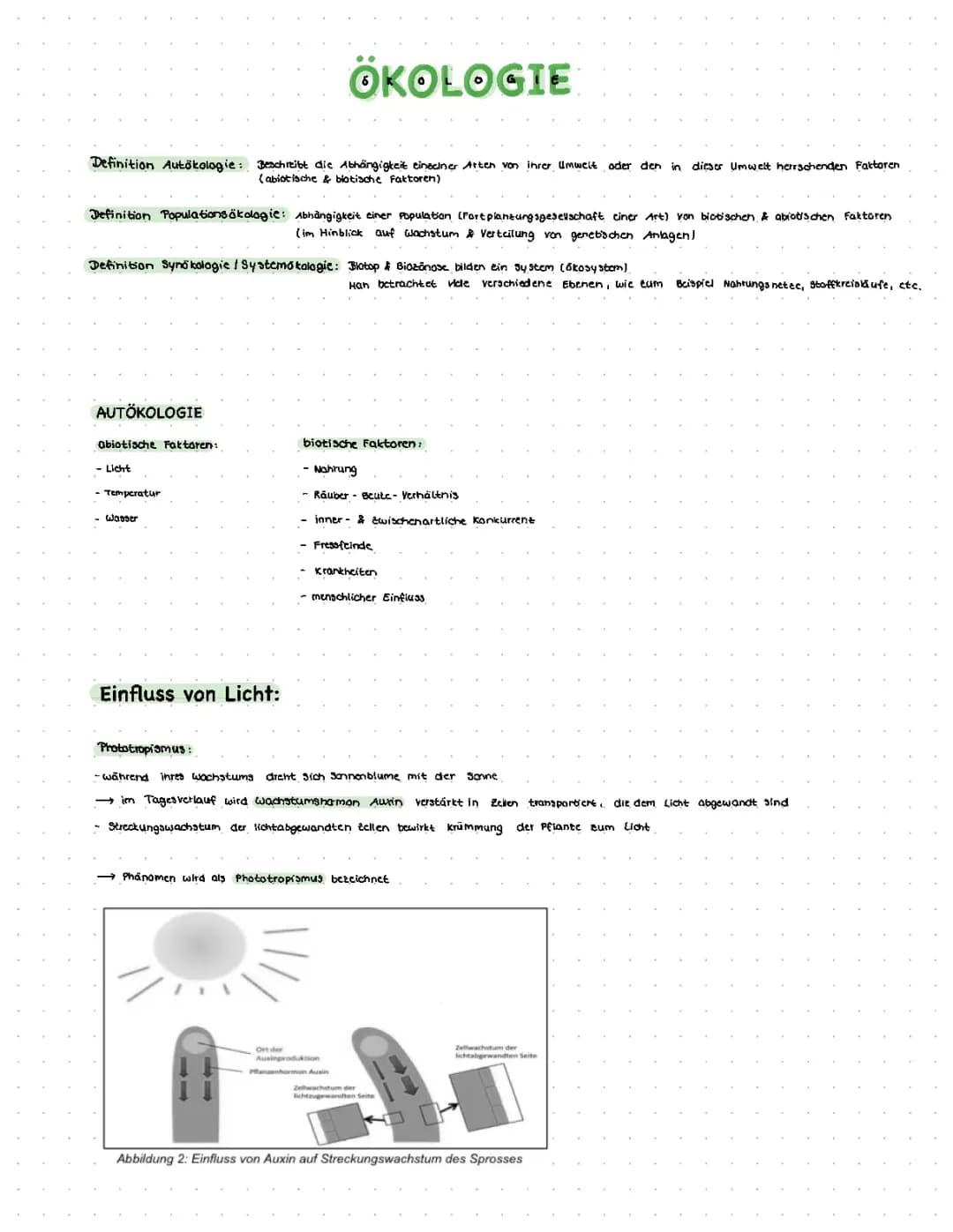 Ökologie Lernzettel Abitur 