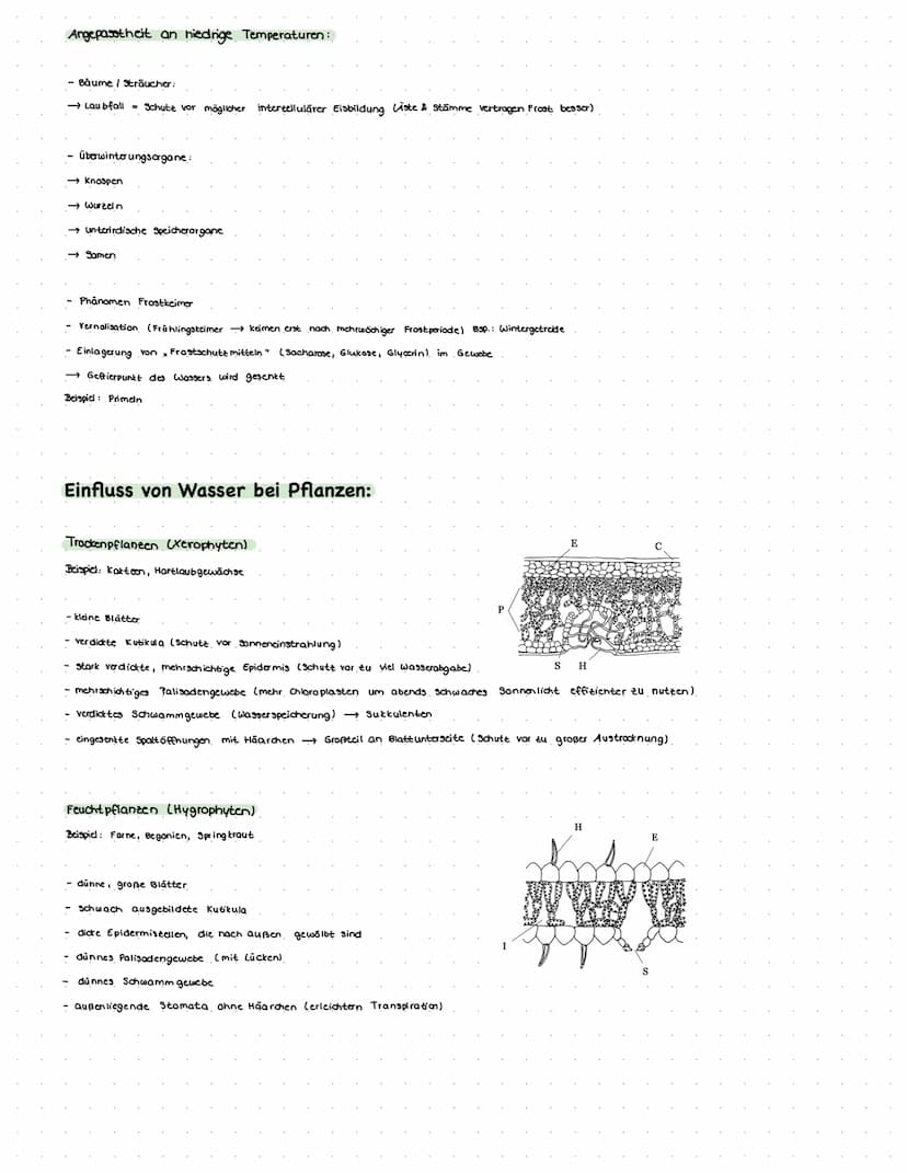 Definition Autökologie: Beschreibt die Abhängigkeit einteiner Arten von ihrer Umwelt oder den in dieser Umwelt herrschenden Faktoren
(abioti