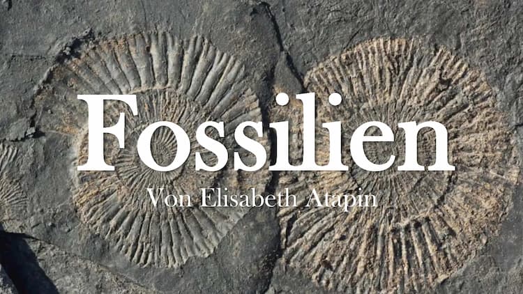 Know Fosillien thumbnail