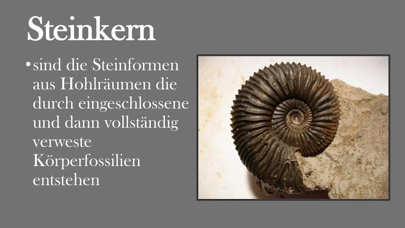 Fossilien
Von Elisabeth Atapin
dest Gliederung
• Bedeutung
●
Geschichte
Fossilisation
Fossilienformen
●
●
●
●
●
●
●
Lebende Fossilien
Alters