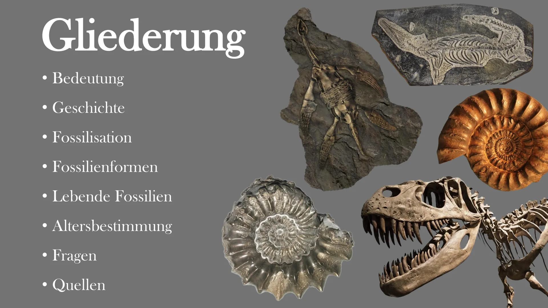 Fossilien
Von Elisabeth Atapin
dest Gliederung
• Bedeutung
●
Geschichte
Fossilisation
Fossilienformen
●
●
●
●
●
●
●
Lebende Fossilien
Alters