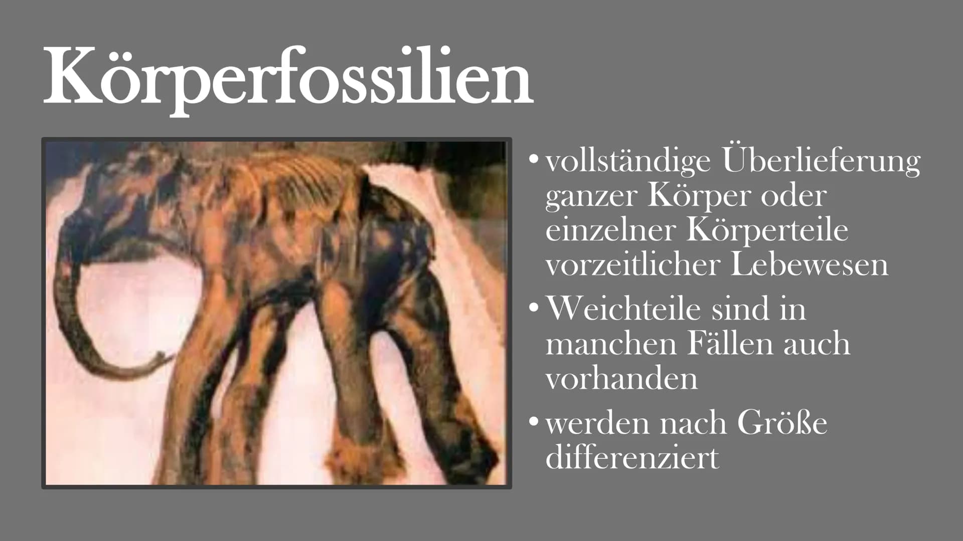 Fossilien
Von Elisabeth Atapin
dest Gliederung
• Bedeutung
●
Geschichte
Fossilisation
Fossilienformen
●
●
●
●
●
●
●
Lebende Fossilien
Alters