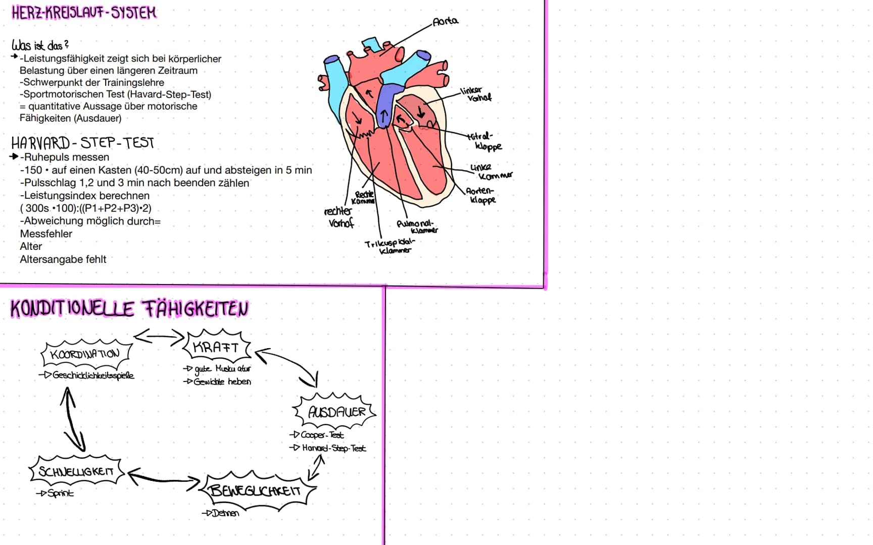 SPORT-THEORIE
1)Homöostase (Superkompensation, Übertraining)
2)Wirbelsäule (Passiver Bewegungsapparat)
3)Muskulatur (Agonisten/Antagonisten)