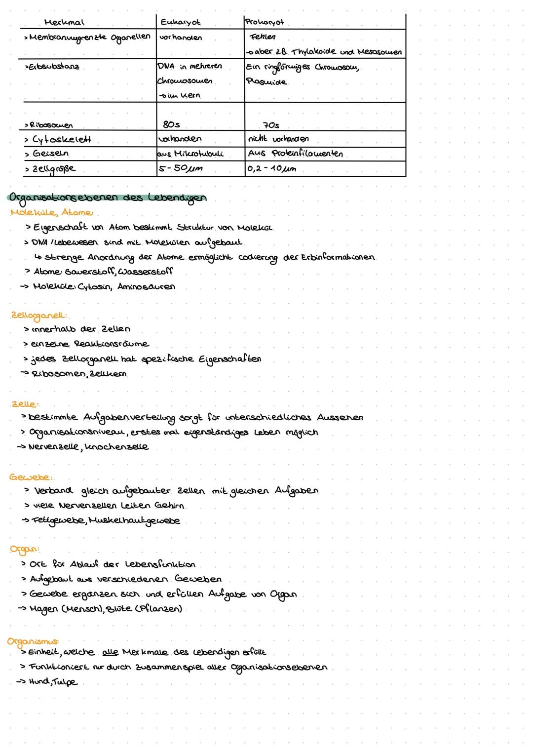 System Zelle
amer kennzeichen des Lebendigen
> Reproduktion/Fortpflanzung
> Wachstum
> Stoffwechsel (Nahrung).
> Zelle
> Entwicklung.
> Bewe