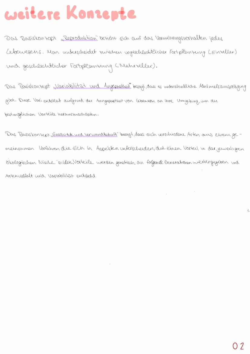 Basiskonzepte
Das Basiskonzept Struktur und Funktion " besagt, dass bestimmte Strukturen auch in den
unterschiedlichsten Teeren, Pflanzen od