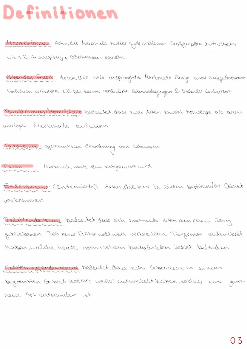Basiskonzepte
Das Basiskonzept Struktur und Funktion " besagt, dass bestimmte Strukturen auch in den
unterschiedlichsten Teeren, Pflanzen od