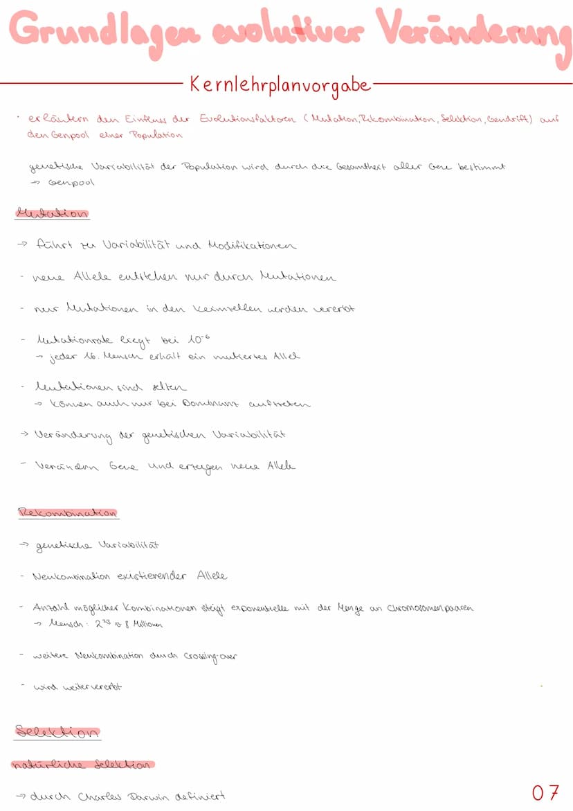 Basiskonzepte
Das Basiskonzept Struktur und Funktion " besagt, dass bestimmte Strukturen auch in den
unterschiedlichsten Teeren, Pflanzen od